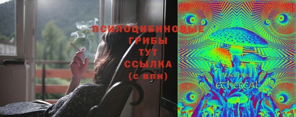 дурь Каменногорск