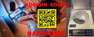 индика Кингисепп