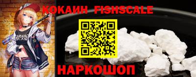 индика Кингисепп