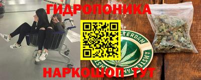 ALPHA PVP Кимры