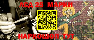 индика Кингисепп