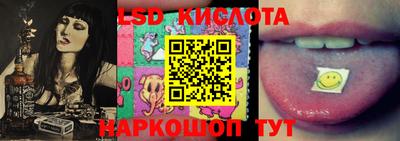 индика Кингисепп
