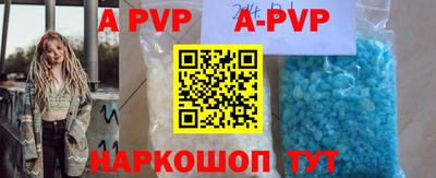 индика Кингисепп