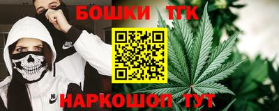 индика Кингисепп