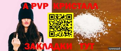 индика Кингисепп