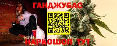 индика Кингисепп