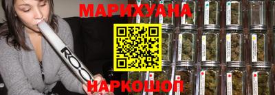 индика Кингисепп