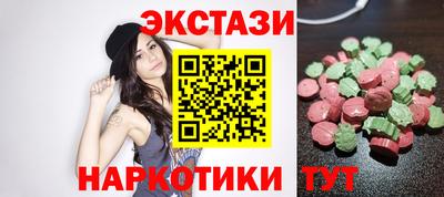 индика Кингисепп