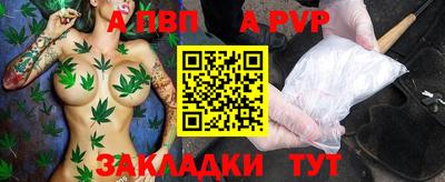 индика Кингисепп