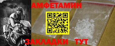 индика Кингисепп