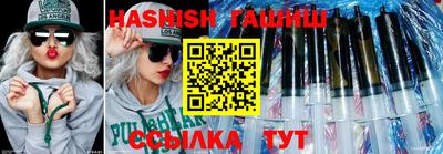 индика Кингисепп