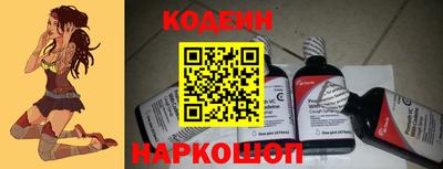 индика Кингисепп