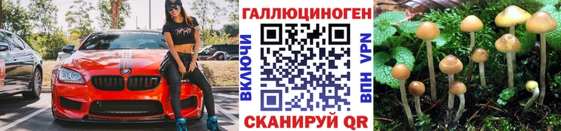 Галлюциногенные грибы MAGIC MUSHROOMS  как найти закладки  нарко площадка телеграм  Михайловка 
