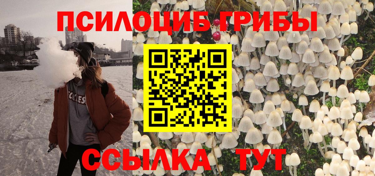 Михайловка  сколько стоит  Вход с VPN  Галлюциногенные грибы MAGIC MUSHROOMS 