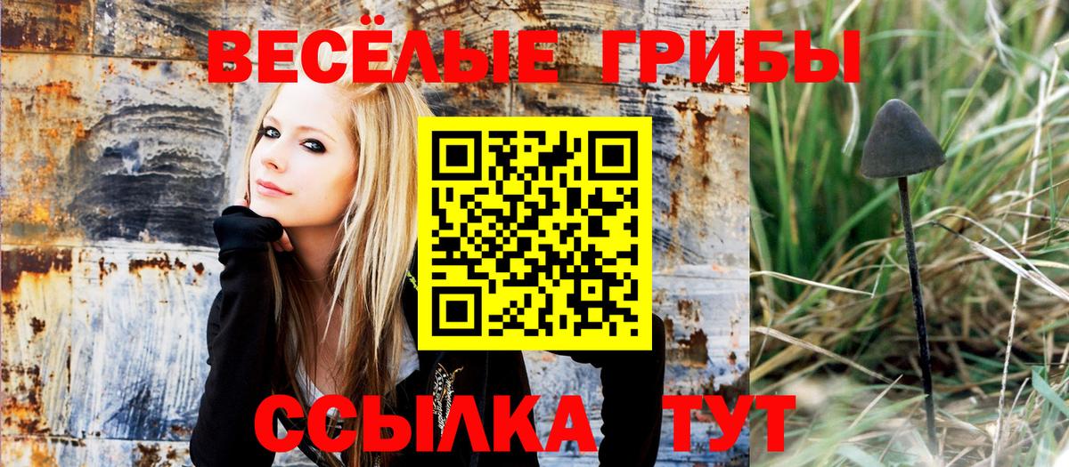 Псилоцибиновые грибы мухоморы Михайловка