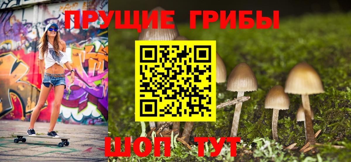 Псилоцибиновые грибы MAGIC MUSHROOMS  Галлюциногенные грибы Cubensis  Михайловка 