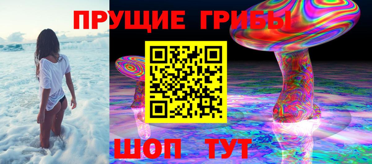 Псилоцибиновые грибы Psilocybe Михайловка