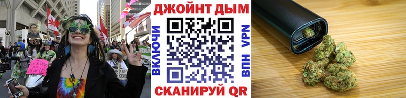 Каннабис сатива  Михайловка 